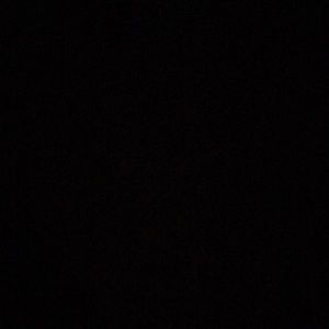 Meet your Posher, Addie